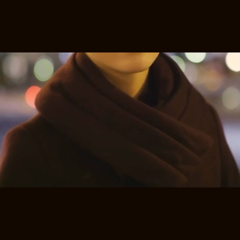 カシミア100%ストール / Bordeaux